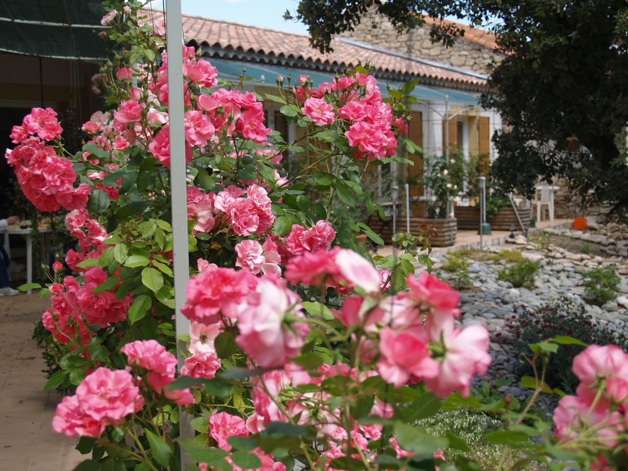 les-studios-[resolution-de-lecran]-th2sd.jpg